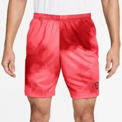 Academy + Dri-Fit Herren Shorts