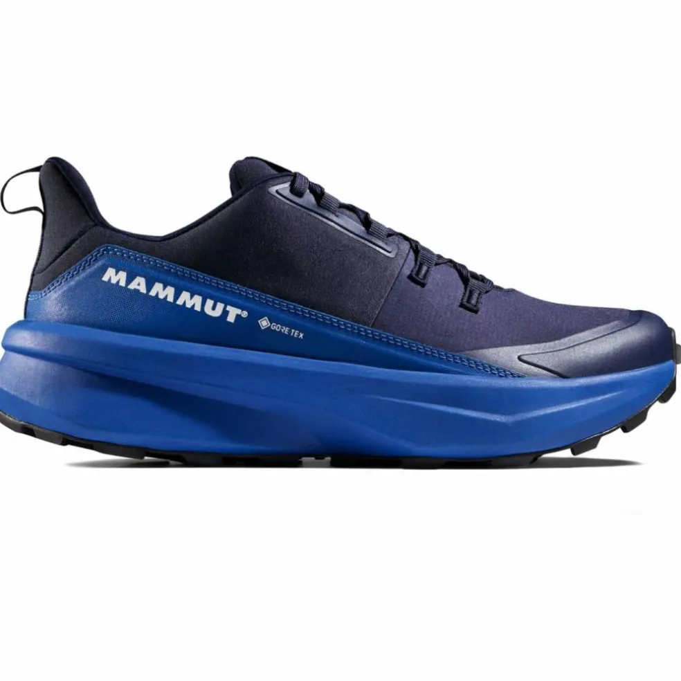Aenergy Hike Low GTX Herren Multifunktionsschuhe