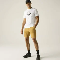 A-instTvlLtShts Herren Shorts