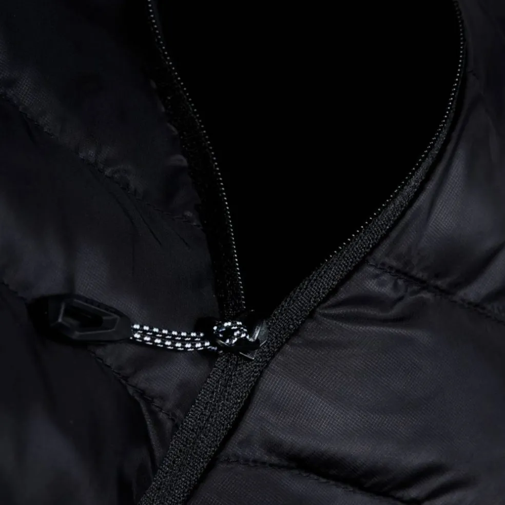 Albula In Hooded Herren Funktionsjacke