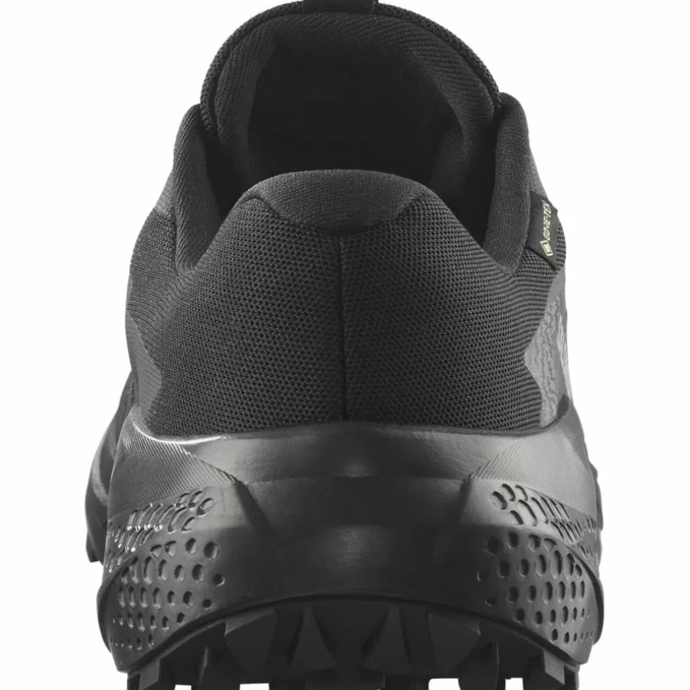 Alphaglide GTX Herren Trailrunningschuhe