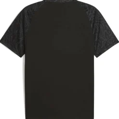 Borussia Dortmund Warm Up Herren T-Shirt