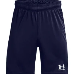 Challenger Core Herren Shorts