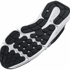 Charged Assert 10 Herren Laufschuhe
