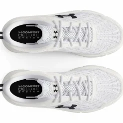Charged Assert 10 Herren Laufschuhe