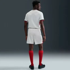 Chelsea FC 2025/26 Stadium Away Dri-Fit Replica Short Herren Shorts