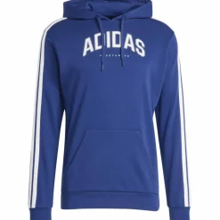 Codes Collegiate Graphic Herren Kapuzensweater