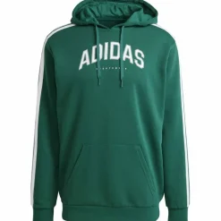 Codes Collegiate Graphic Herren Kapuzensweater