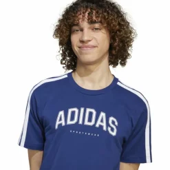 Codes Collegiate Linear Graphic Herren T-Shirt