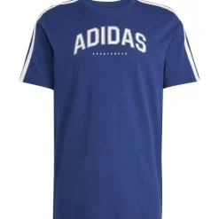 Codes Collegiate Linear Graphic Herren T-Shirt