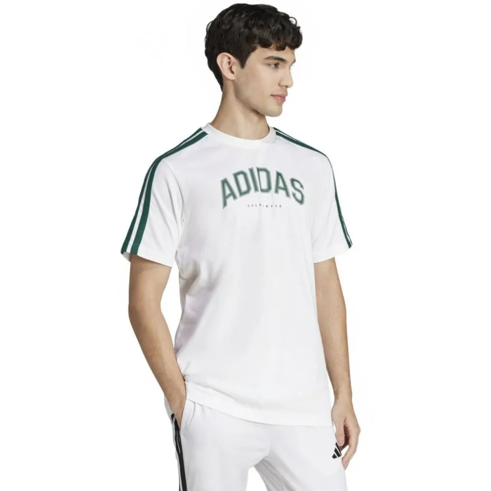 Codes Collegiate Linear Graphic Herren T-Shirt