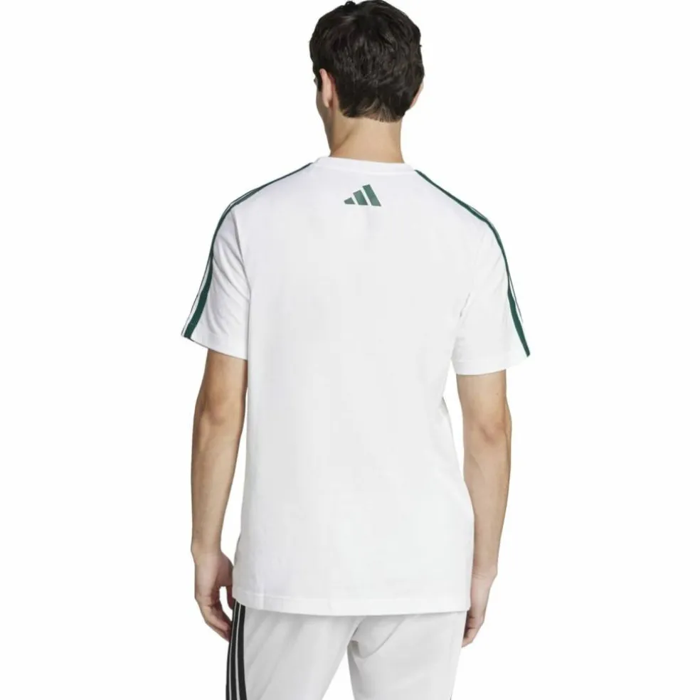 Codes Collegiate Linear Graphic Herren T-Shirt