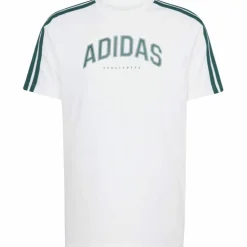 Codes Collegiate Linear Graphic Herren T-Shirt