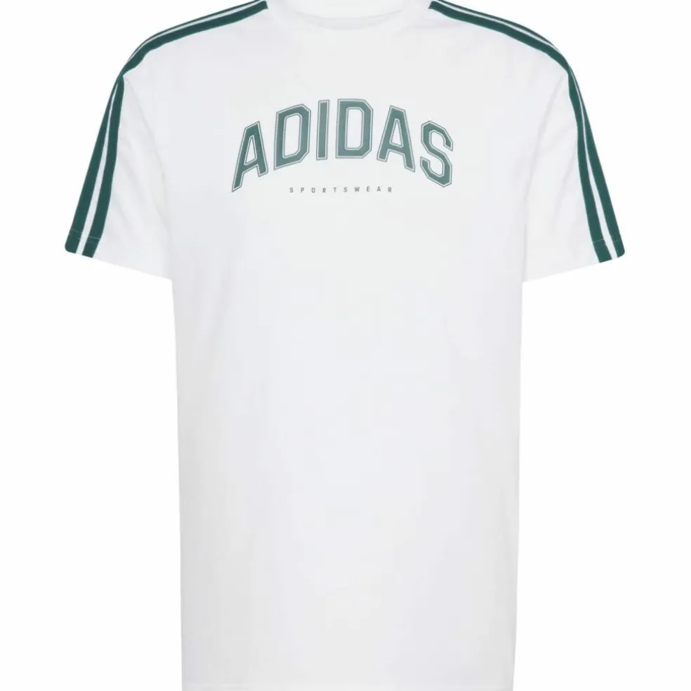 Codes Collegiate Linear Graphic Herren T-Shirt