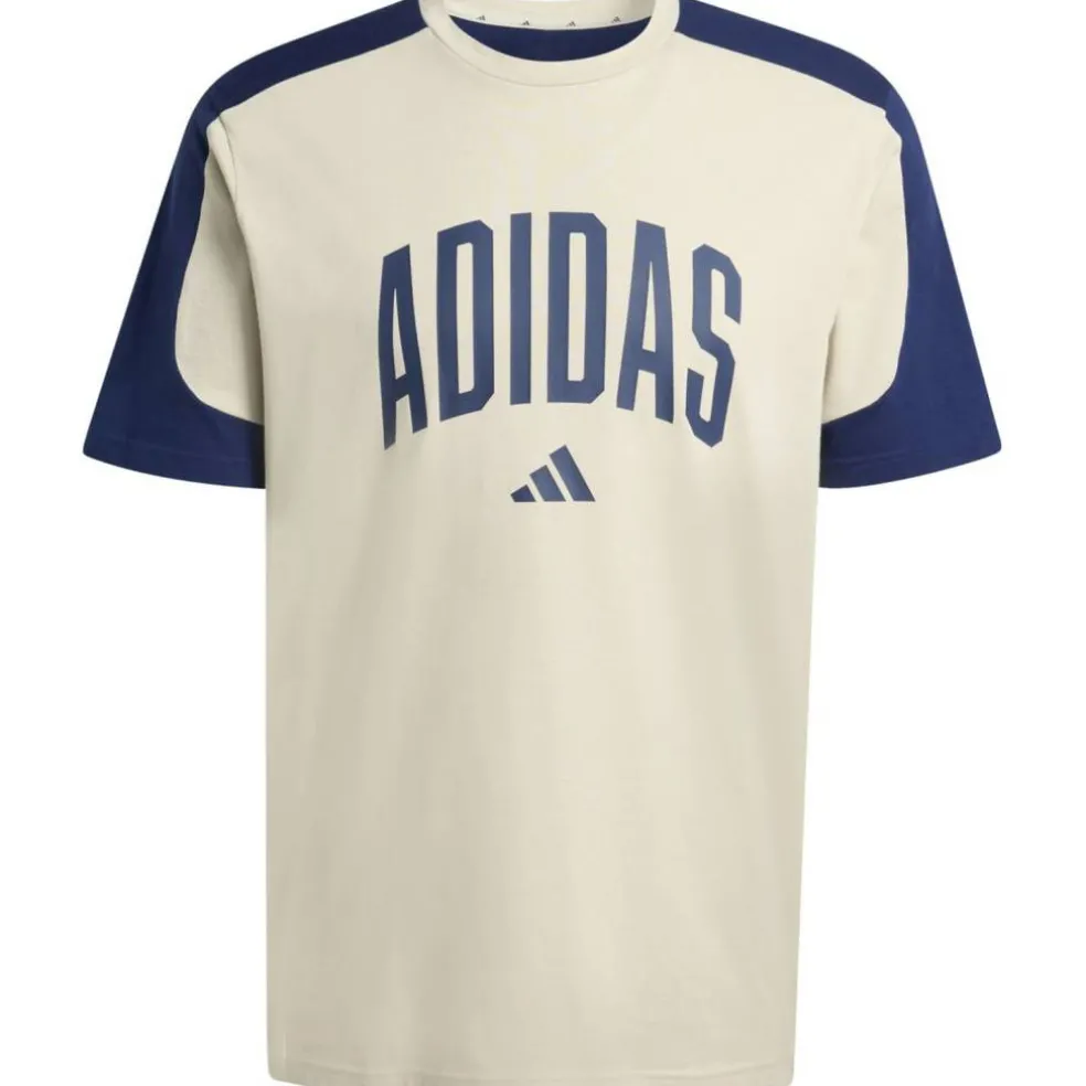 Collegiate T-Shirt Herren T-Shirt
