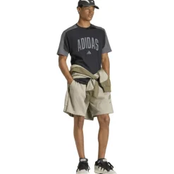 Collegiate T-Shirt Herren T-Shirt
