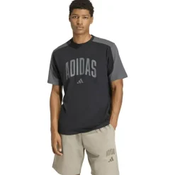 Collegiate T-Shirt Herren T-Shirt