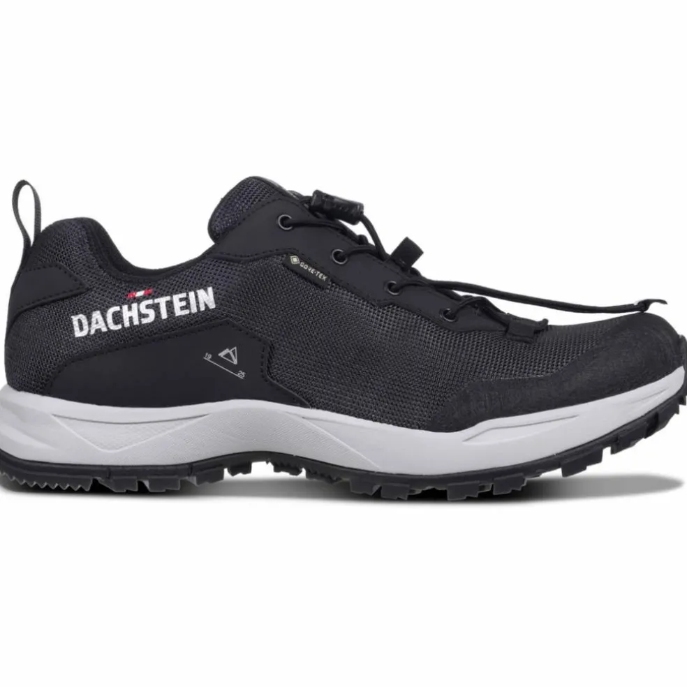 Delta Ascent GTX Herren Trekking-Halbschuhe