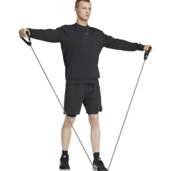 Designed for Training Herren Sweatshirt