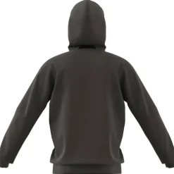 Designed for Training Herren Kapuzensweater