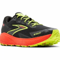 Divide 5 GTX Herren Trailrunningschuhe
