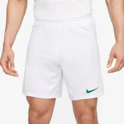 Dri-Fit Park 3 Herren Teamhose