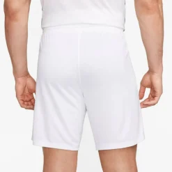 Dri-Fit Park 3 Herren Teamhose