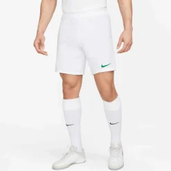 Dri-Fit Park 3 Herren Teamhose