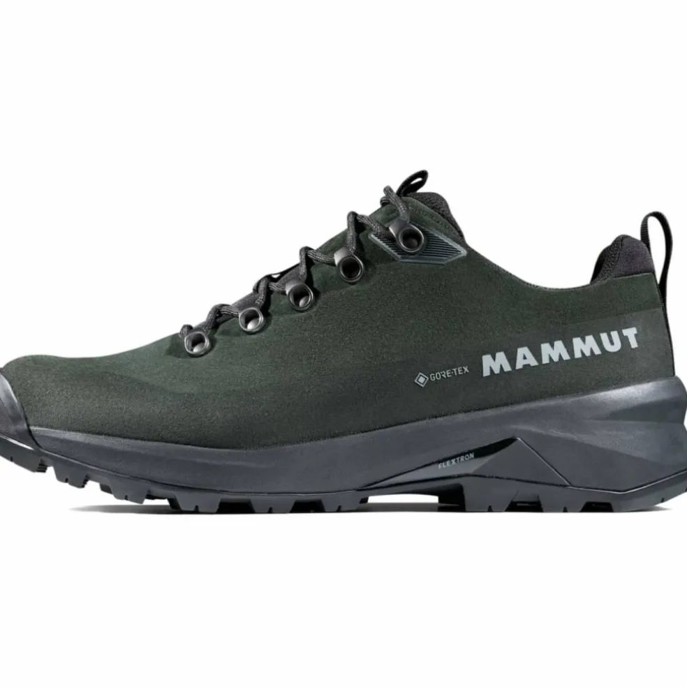 Ducan III Low LTH GTX Herren Multifunktionsschuhe