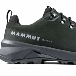 Ducan III Low LTH GTX Herren Multifunktionsschuhe
