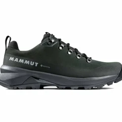 Ducan III Low LTH GTX Herren Multifunktionsschuhe