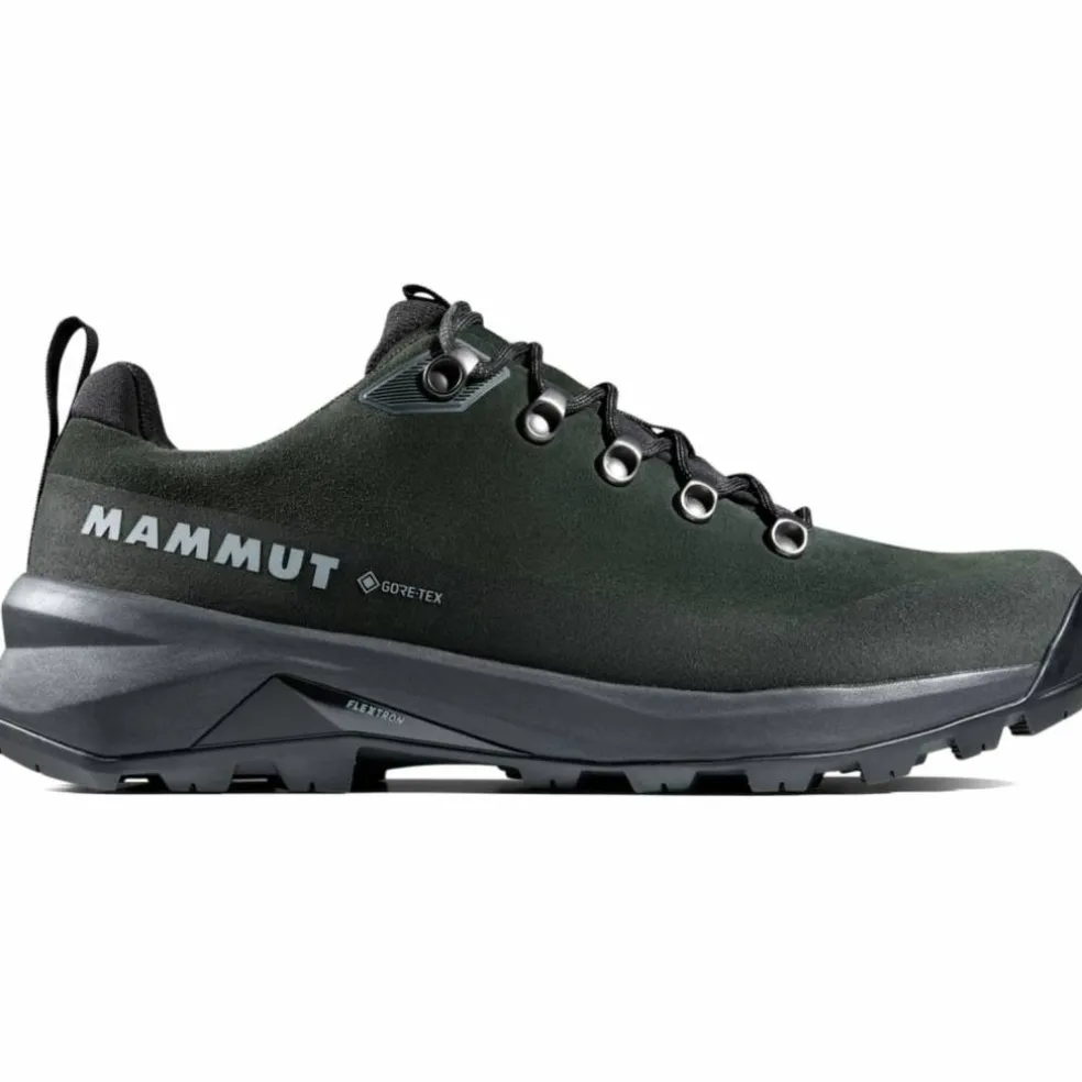 Ducan III Low LTH GTX Herren Multifunktionsschuhe