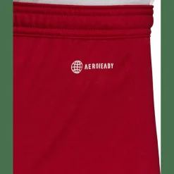 Entrada 22 Herren Shorts