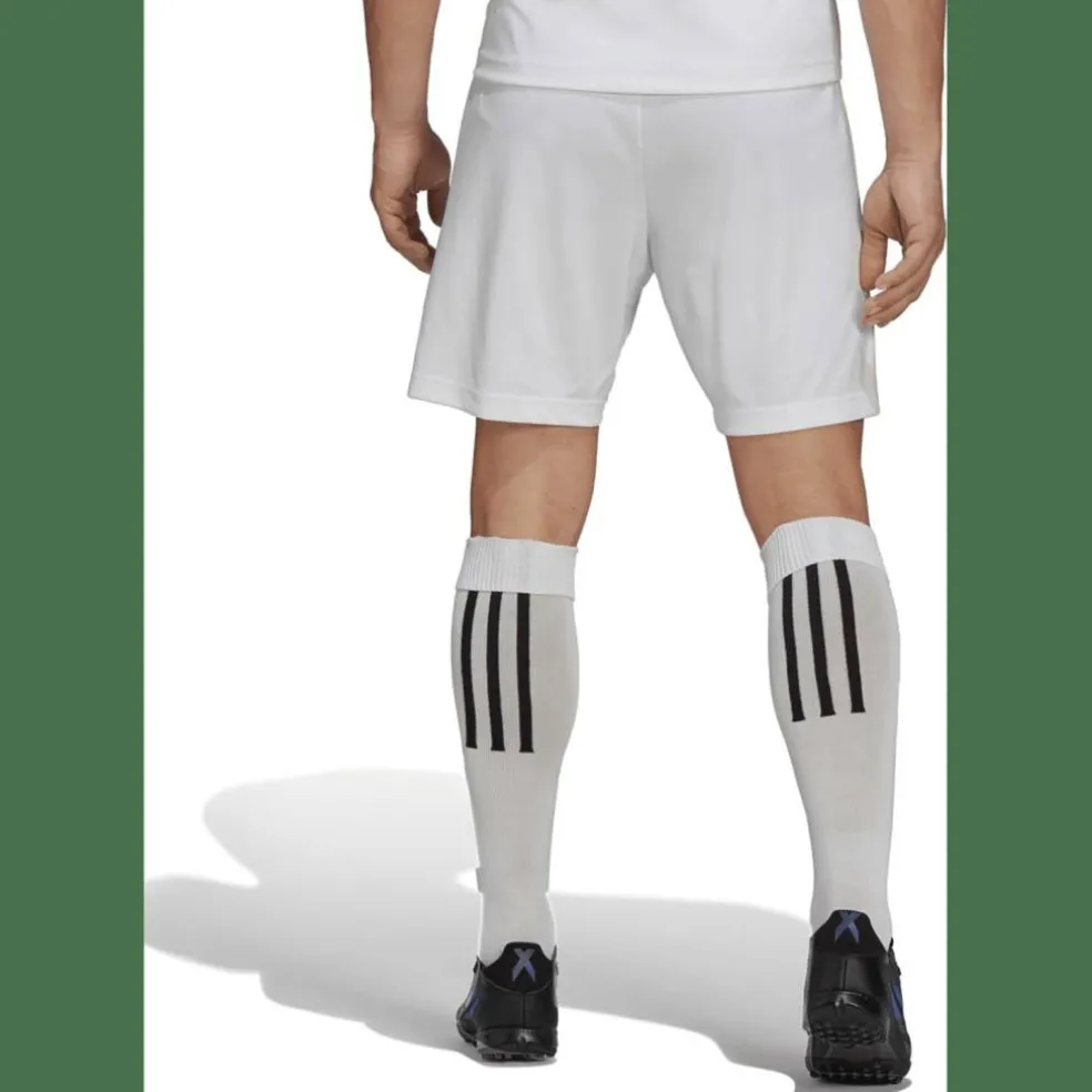 Entrada 22 Herren Shorts