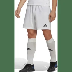 Entrada 22 Herren Shorts