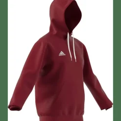 Entrada 22 Sweat Hoodie Herren Kapuzensweater