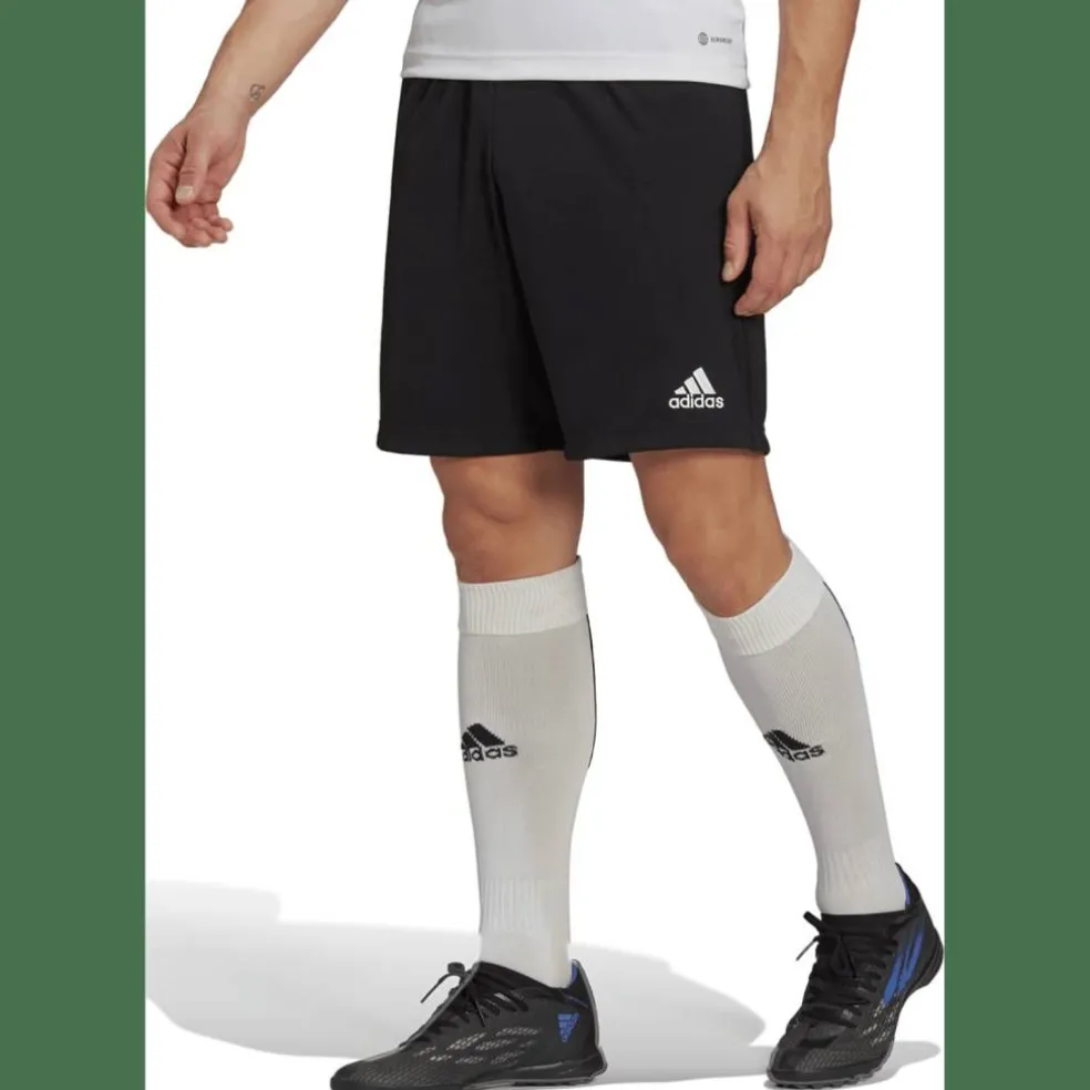 Entrada 22 Training Herren Shorts