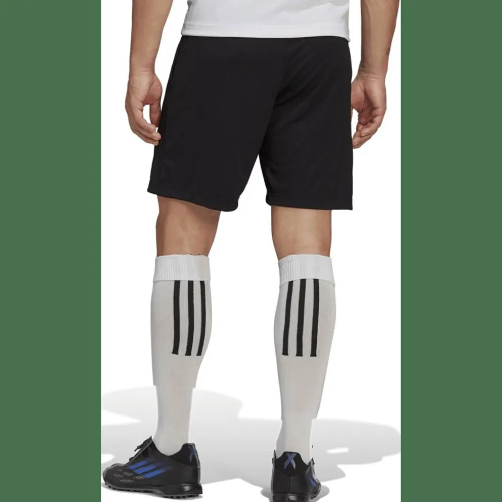 Entrada 22 Training Herren Shorts