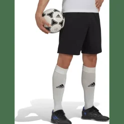 Entrada 22 Training Herren Shorts