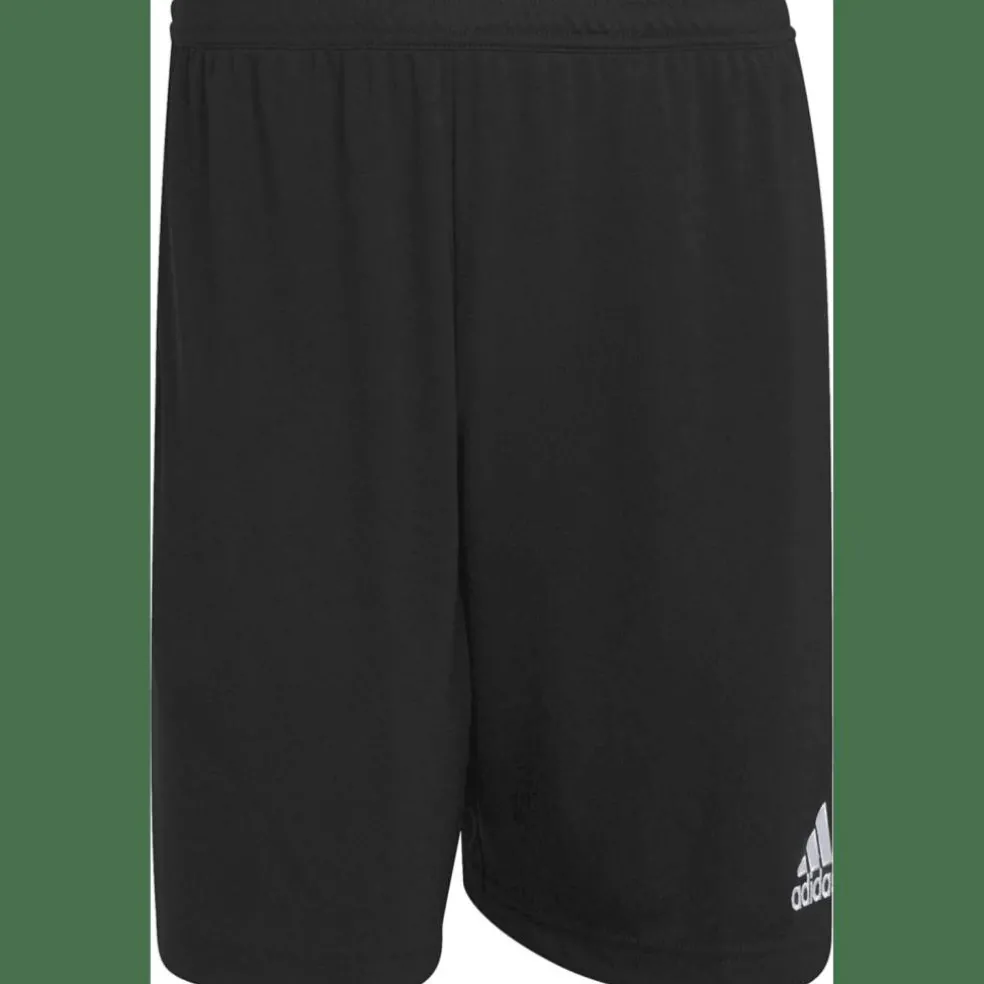 Entrada 22 Training Herren Shorts