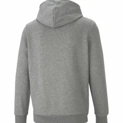 Ess+ 2 Col Big Logo FL Herren Kapuzensweater