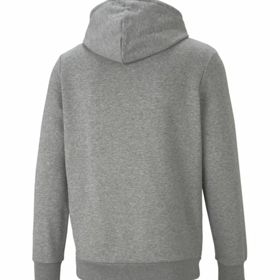Ess+ 2 Col Big Logo FL Herren Kapuzensweater