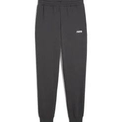 ESS 2 Color No. 1 Logo FL CL Herren Hose