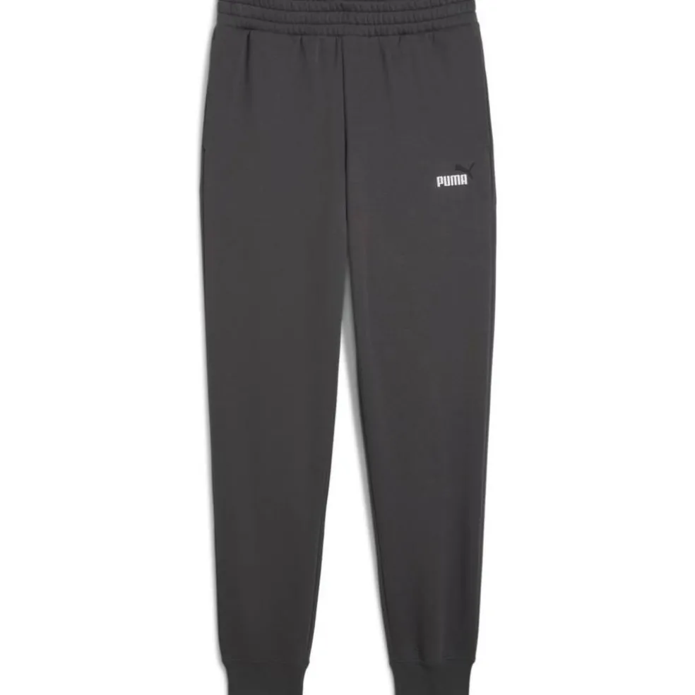 ESS 2 Color No. 1 Logo FL CL Herren Hose
