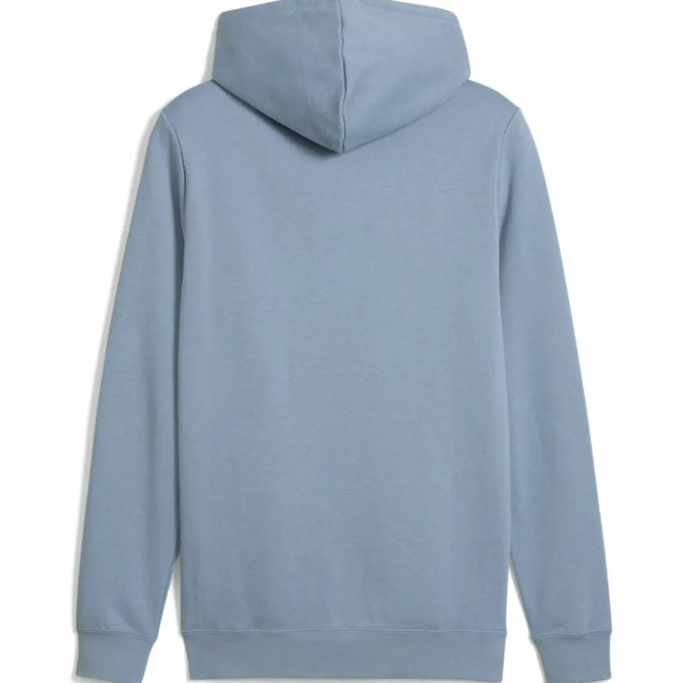 ESS 2 Color No. 1 Logo FL Herren Kapuzensweater