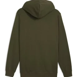 ESS 2 Color No. 1 Logo FL Herren Kapuzensweater