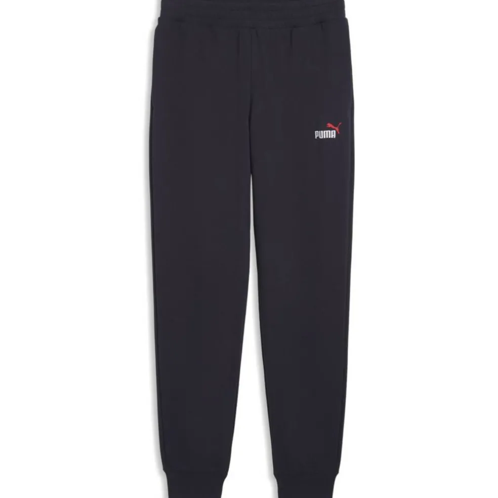 ESS 2 Color No. 1 Logo TR CL Herren Hose