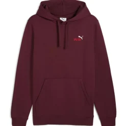 ESS 2 Color Small No. 1 Logo FL Herren Kapuzensweater