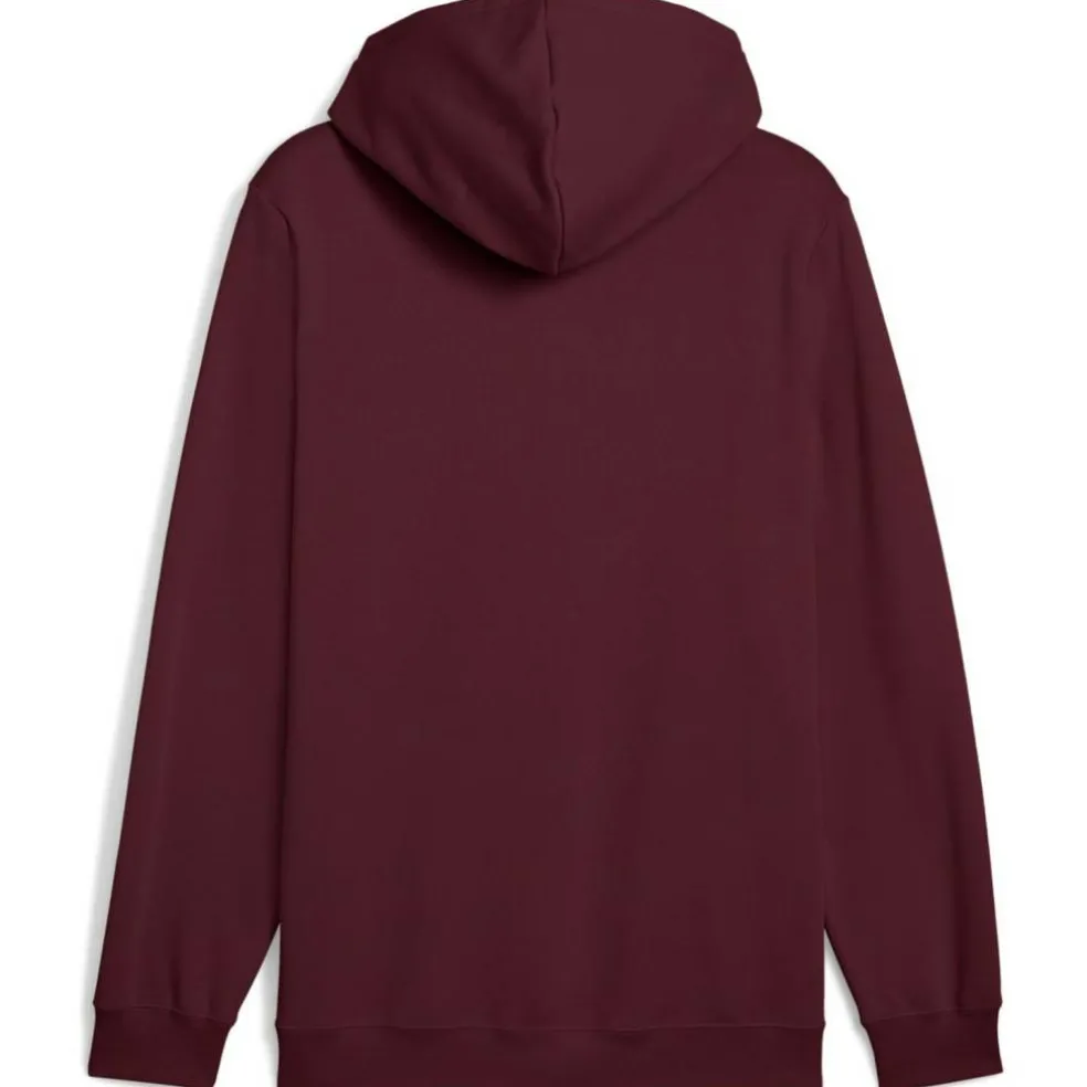 ESS 2 Color Small No. 1 Logo FL Herren Kapuzensweater