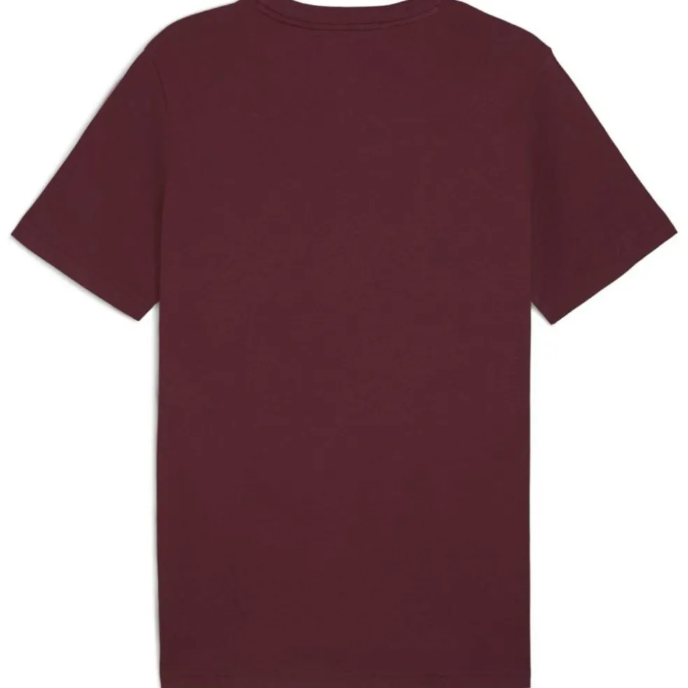 ESS 2 Color Small No. 1 Logo Herren T-Shirt